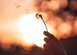 Holistic sessions - Breathwork Amsterdam