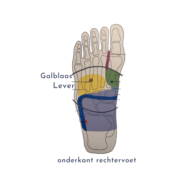 onderkant rechtervoet